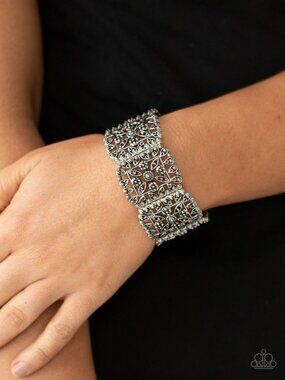 Paparazzi Bracelet (BE053)
